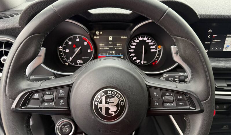 ALFA ROMEO STELVIO 2.2 T BUSINESS AT8 RWD pieno