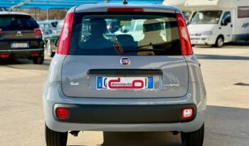FIAT PANDA 1.0 HYBRID 70CV S&S POP pieno