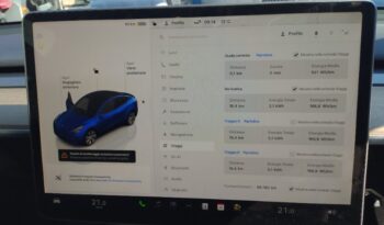 TESLA MODEL Y LONG RANGE DUAL MOTOR AWD pieno