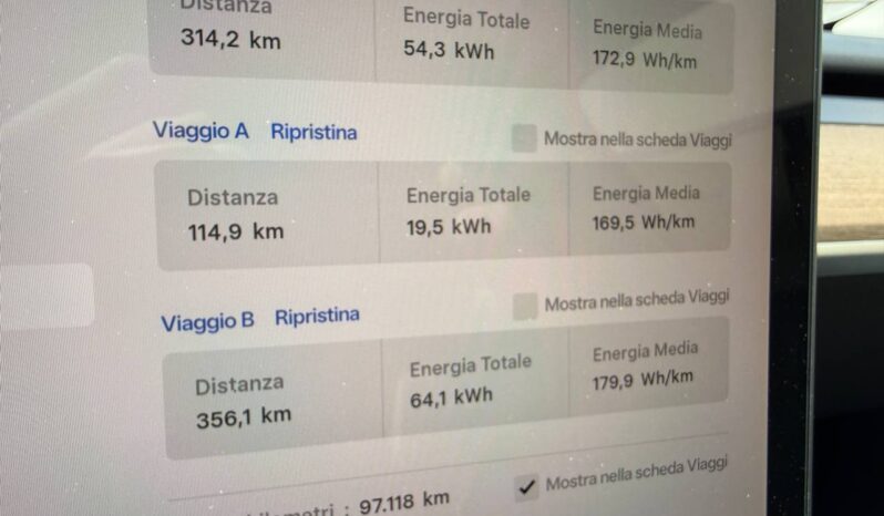 TESLA MODEL Y LONG RANGE DUAL MOTOR AWD pieno